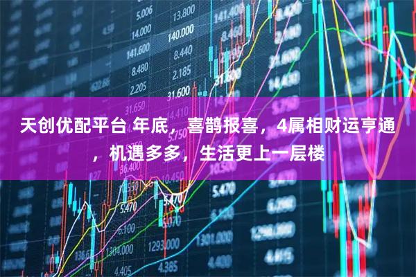 天创优配平台 年底，喜鹊报喜，4属相财运亨通，机遇多多，生活更上一层楼