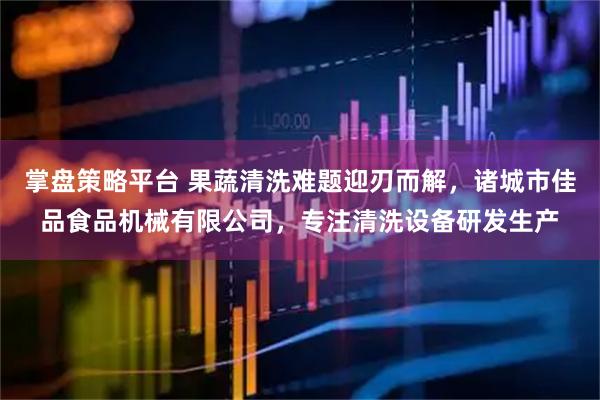 掌盘策略平台 果蔬清洗难题迎刃而解，诸城市佳品食品机械有限公司，专注清洗设备研发生产