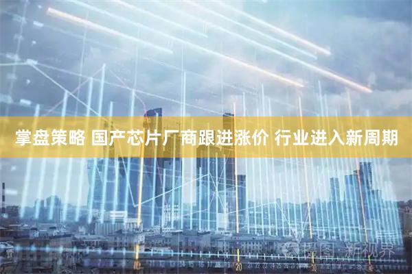 掌盘策略 国产芯片厂商跟进涨价 行业进入新周期