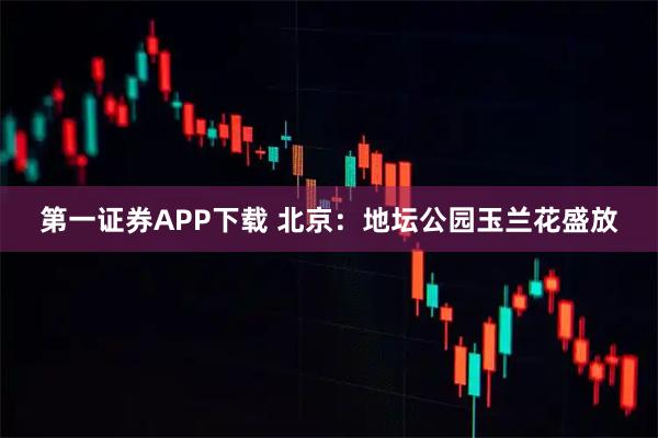 第一证券APP下载 北京：地坛公园玉兰花盛放