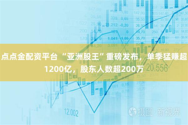 点点金配资平台 “亚洲股王”重磅发布,单季猛赚超1200亿,股东人数超200万